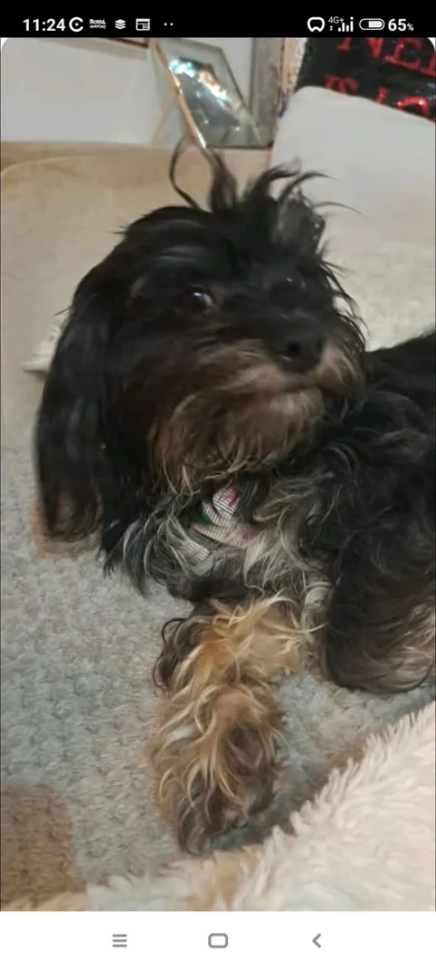 Άγνωστο Όνομα