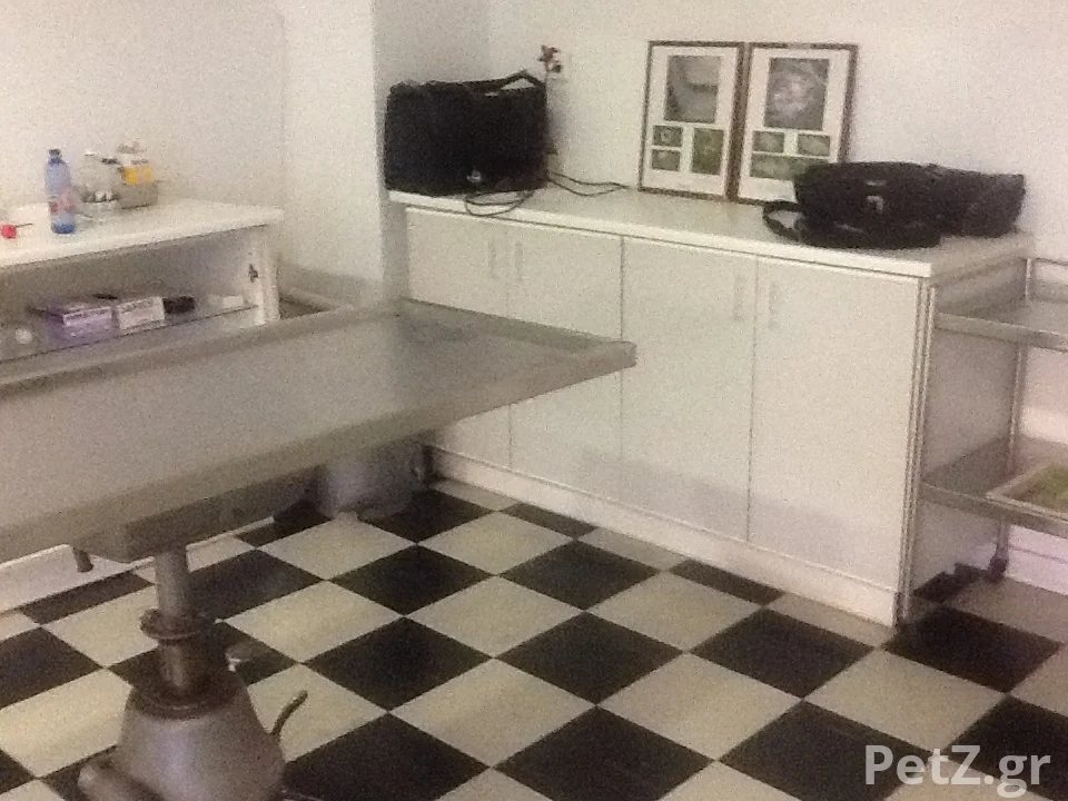 Pawsome Dog Grooming 1