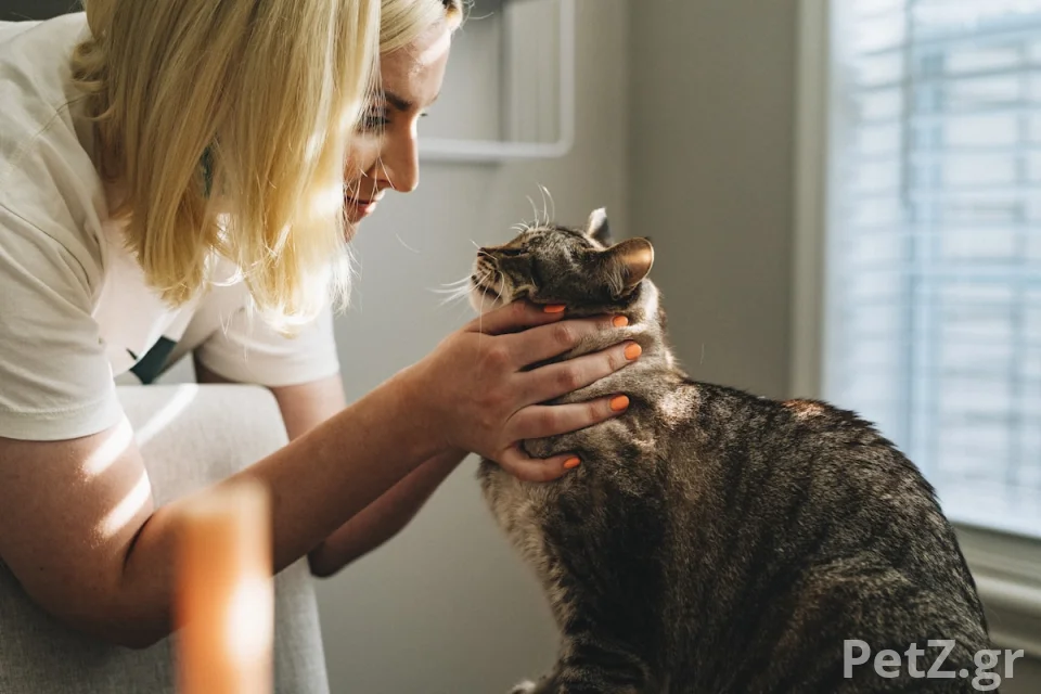 Athens Vet Clinic – Κτηνιατρική Κλινική Γλυφάδας 1