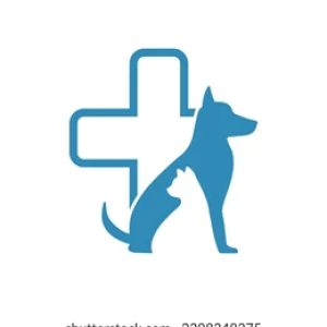 Κτηνίατρος Μικρών Ζώων